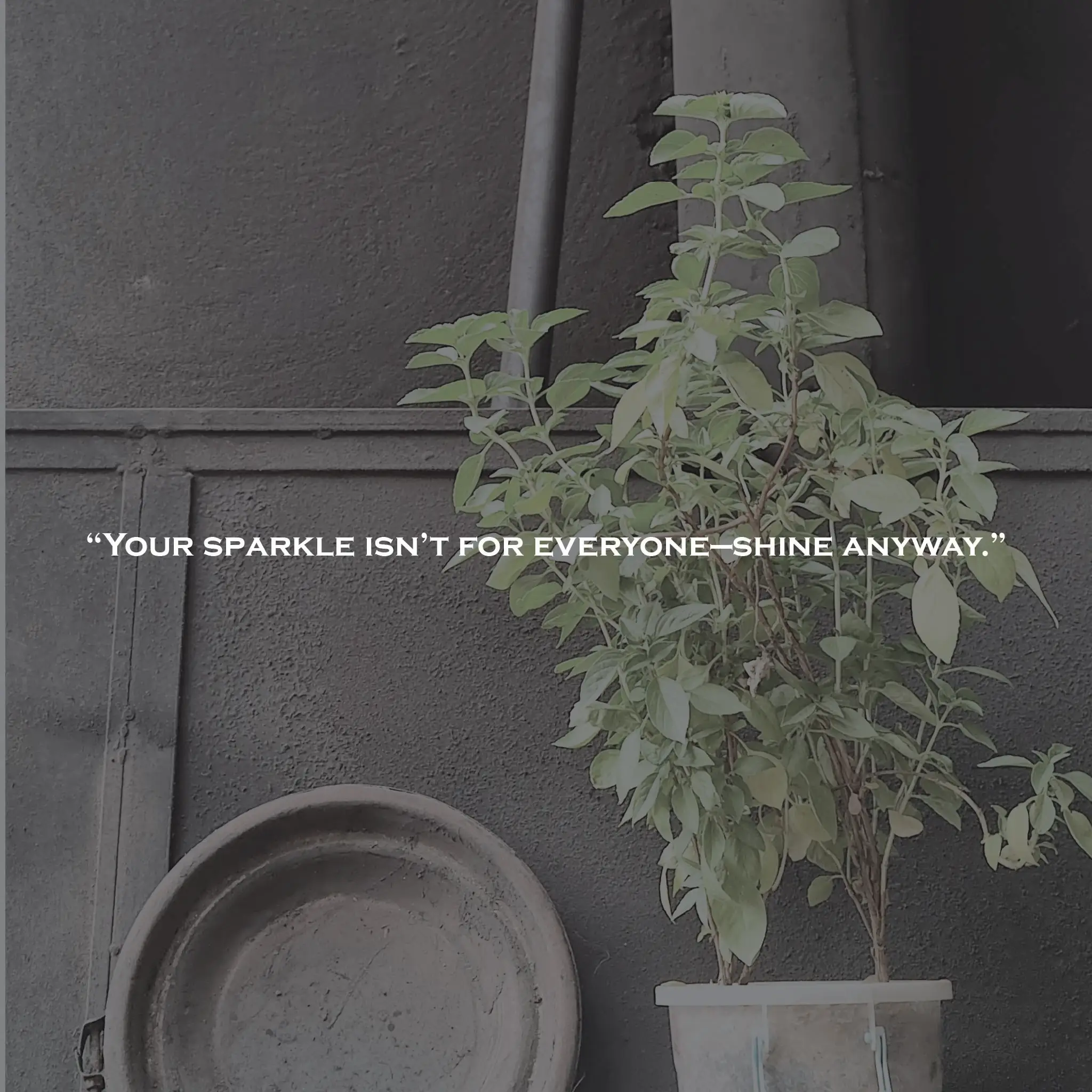 Self confidence quotes 02